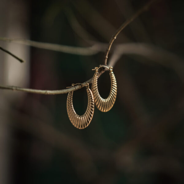 Premium Gold Hoop Earrings