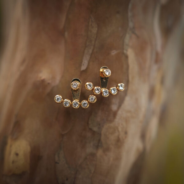 Starlight Gold Ear Crawler Earrings